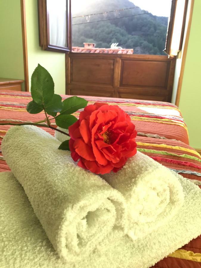 Apartamentos Rurales Los Nogales Cosgaya Eksteriør billede