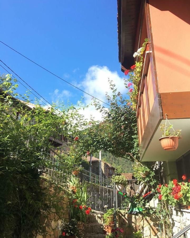 Apartamentos Rurales Los Nogales Cosgaya Eksteriør billede